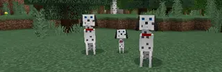 Dog Breeds