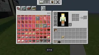 Inventory Functionality