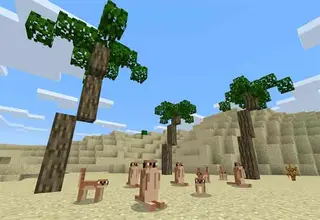 New Biomes