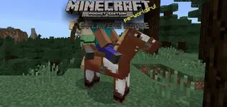 Double Horse Riding Mod