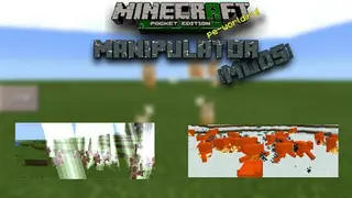 Manipulator
