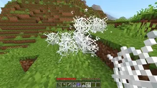 Block Particles 26+