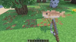 Realistic Fishing 26+