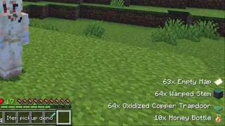 Item Notification 1.21+