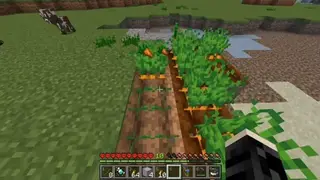 Quick Harvest 1.21+