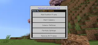 Frame Playback