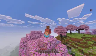 Enhanced Elytra