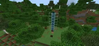 Ender Pearl Like Java