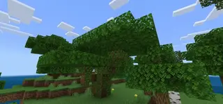 Diverse Trees