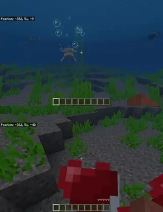 Ride Dolphin
