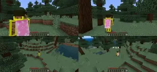 Enhanced Camera 1.21+