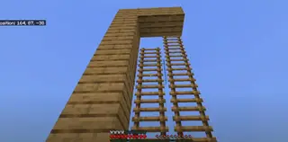 Enhanced Ladders
