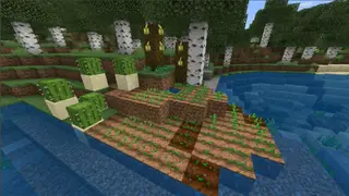 Chunk Loading 1.16; 1.17+