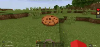 Totem Disguise 1.16+