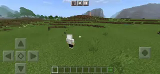 New First-Person View 1.16+