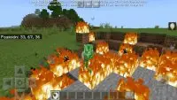 Transform into a Mob