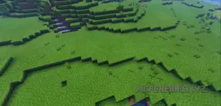 More Vegetation