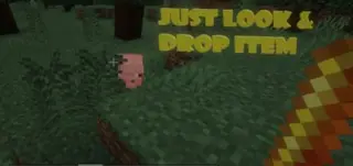 Transform into Mobs