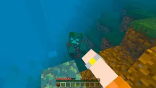 Water World