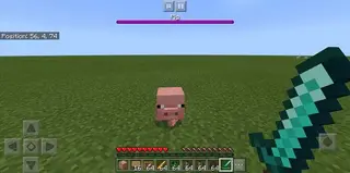 Mob Health Display