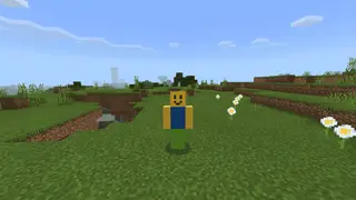 Jump Animation in Minecraft PE