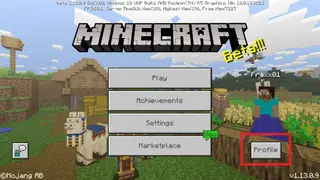 Skin Editor