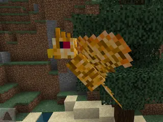 Phoenix Addon