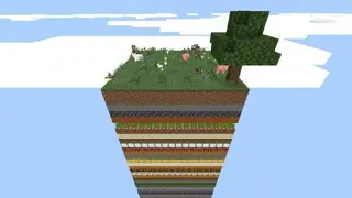 100 Days in 1 Chunk
