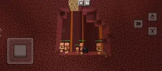 2D Survival