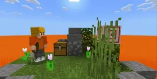 Survival in Lava Sea