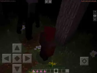 Slenderman: Minecraft Edition (Horror)