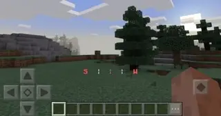 SG Compass Survival