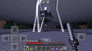 Entity 303 Adventures