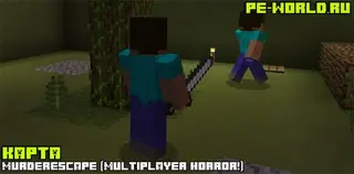 MurderEscape (Multiplayer Horror!)