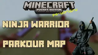 Ninja Warrior