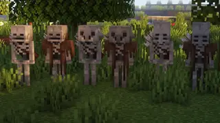 Resource Pack: 100+ Skeletons 26+