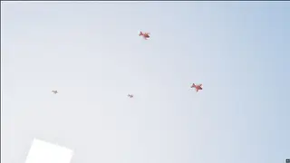 Bird Flight 26+