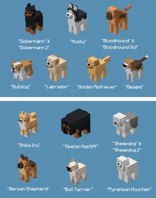 Resource Pack: Dog Breed 26+