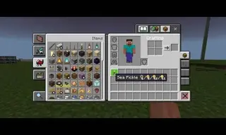 Item Descriptions 1.21+