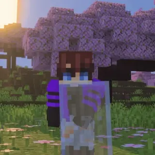Transparent Shields 26+