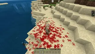 Resource Pack: Blood on Attack 1.21+