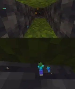 Mob X-Ray