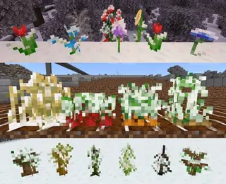 Winter 1.20+