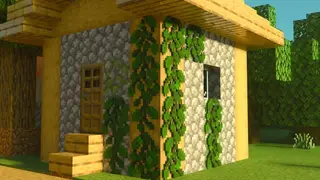 Realistic Vines