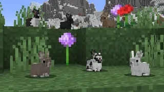 3D Rabbits 1.20+