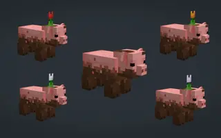 3D Pigs