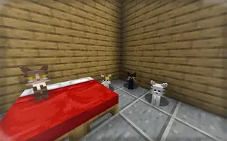 3D Cats