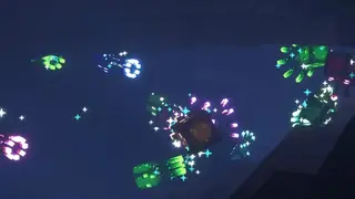 Squid Variants