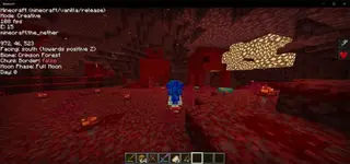 Resource Pack: Debug Screen 1.18+