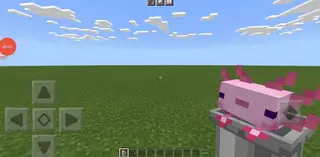 3D Axolotls Resource Pack